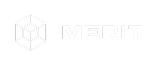 Merit Systems Logo