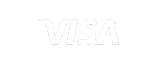 Visa Logo